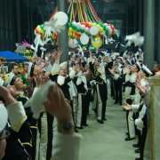 Postillione Wesseling (16.01.10)